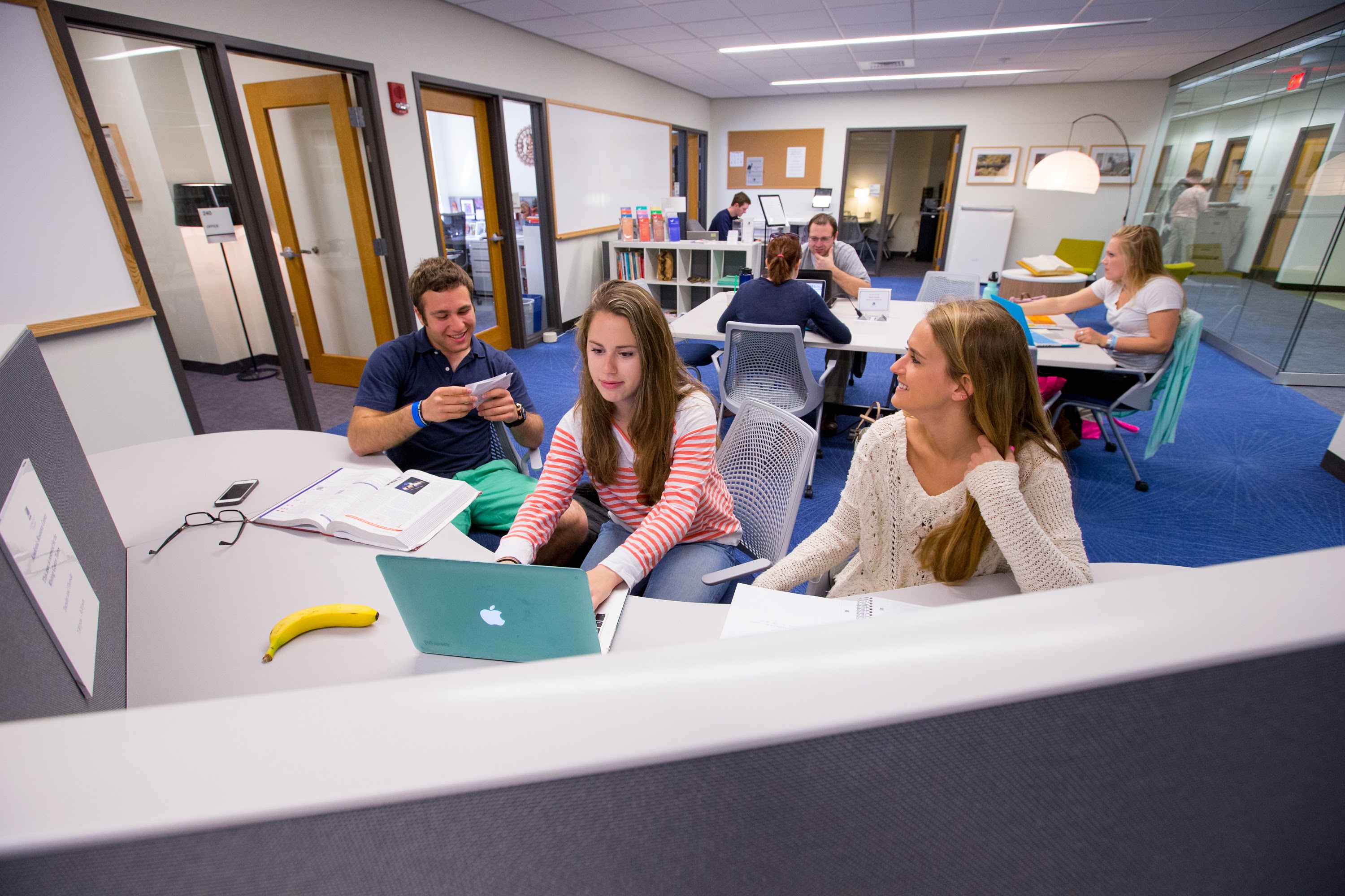 Students working on a project together