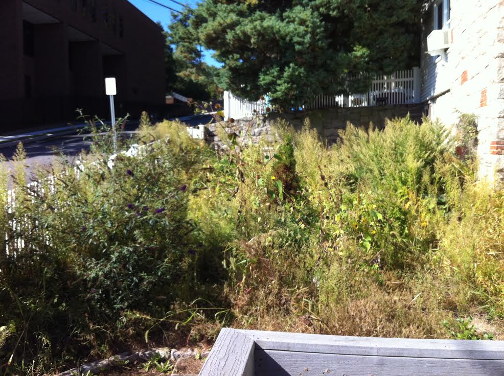 Picture of the Children's Garden before the workday