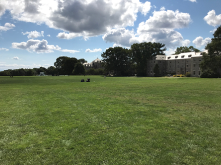 Picture of the very green grass on Tempel Green with residence halls JA and Harkness is the background. 