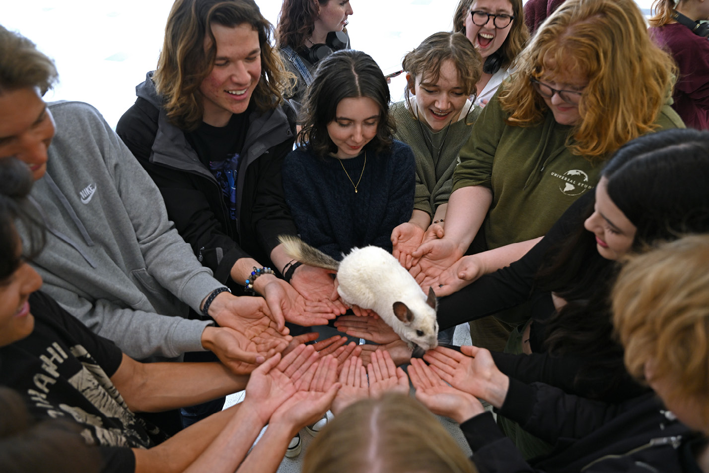 Students play with animals on campus to de-stress at a petting zoo from Warm and Fuzzy Animal Adventures Wednesday, April 19, 202