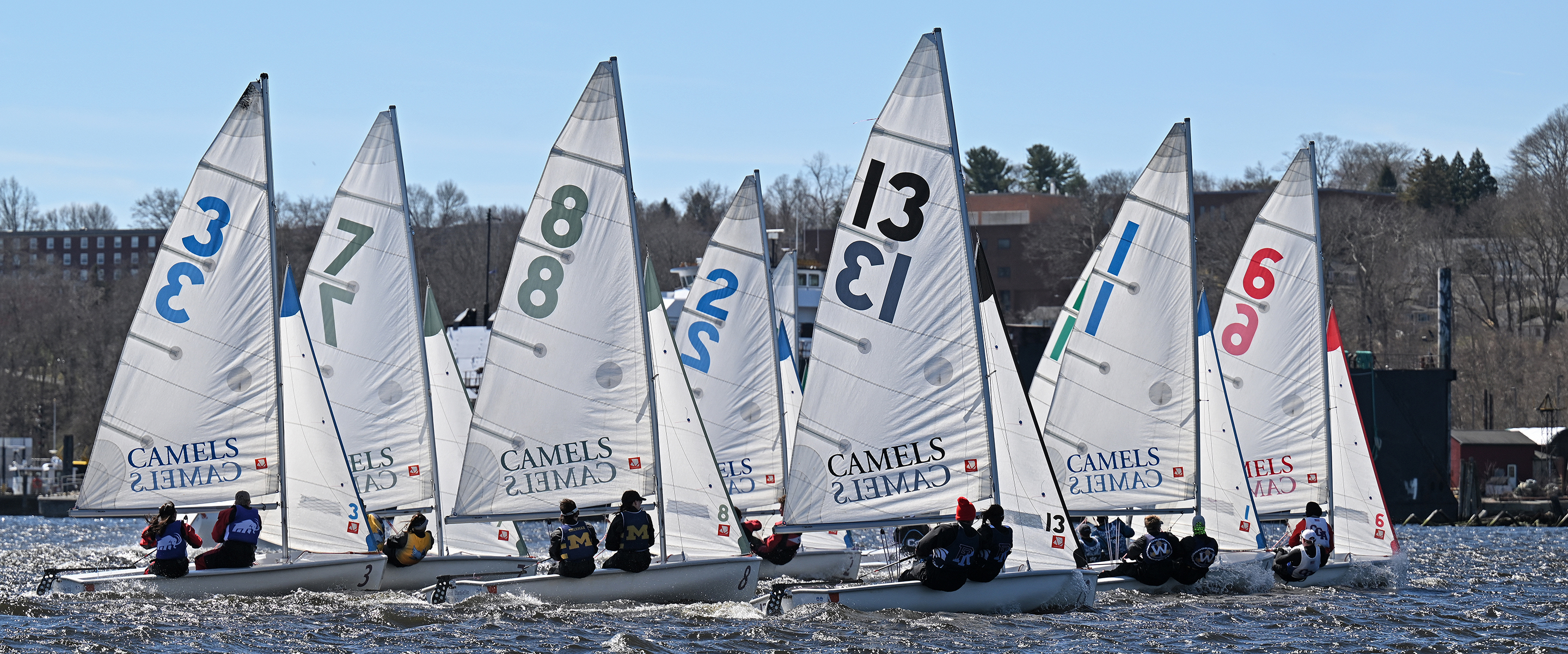 A tight group of sailboats under a clear blue sky