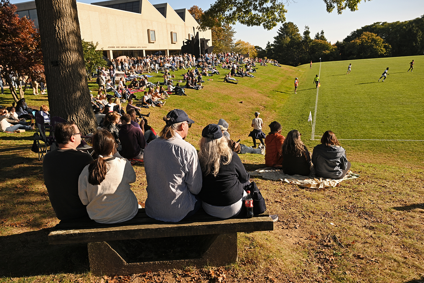 A crowd of soccer fans sit on a hillside watching a game.