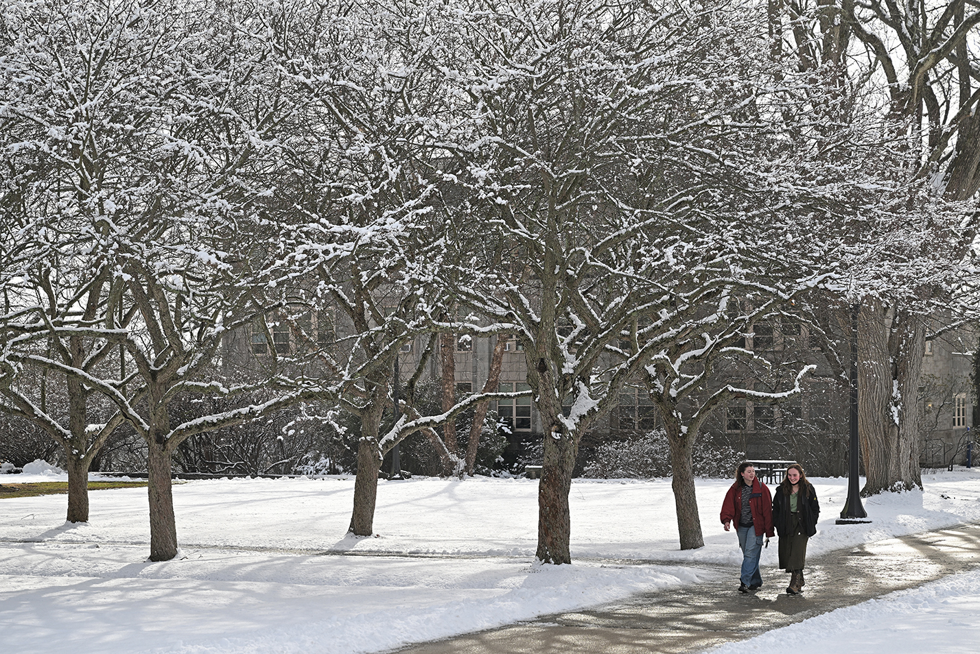 Two students walk along a sidewalk by snow-covered trees.